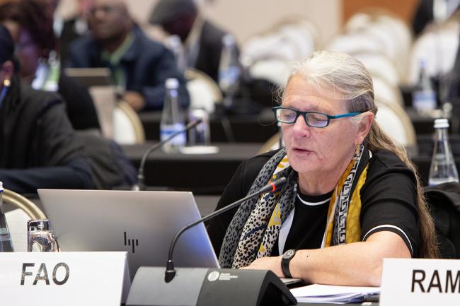 Vera Maria Boerger, Food and Agriculture Organization of the UN - CRIC 21 - 14 Nov 2023 - Photo