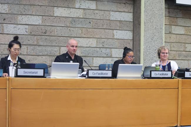 View of the dais during Contact Group 1