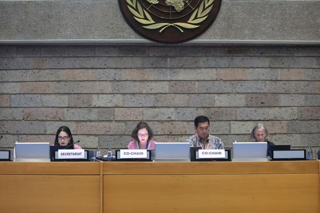 View of the dais during Contact Group 3