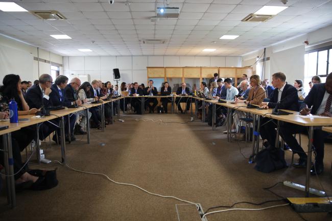 View of the room during the Monitoring the situation progress of the future instrument - objectives targets and their associated baselines, indicators and timelines 