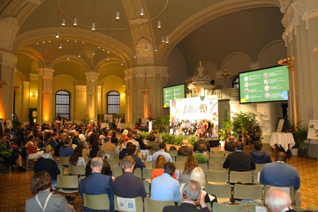 plenary -BSC23 -14nov2023 - photo