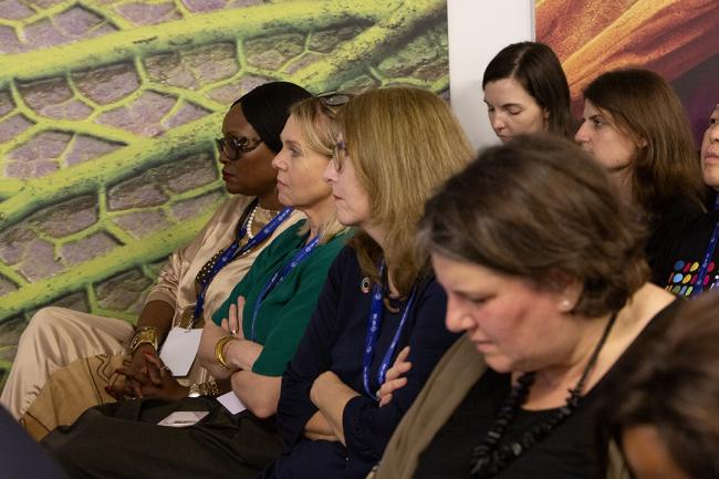 Participants - EMG Side Event - COP28 - 2 Dec 2023 - Photo