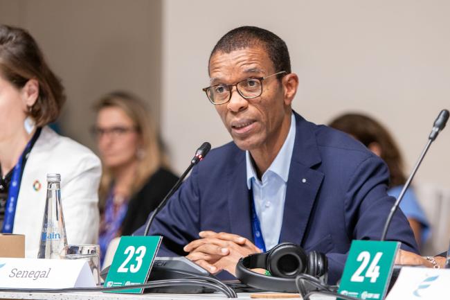 Alioune Ndoye, Minister of Environment, Sustainable Development and Ecological Transition, Senegal