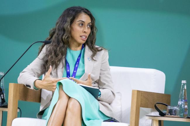 Ambassador Ilana Seid