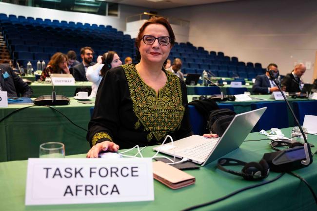 Amel Hamza-Chaffai, Africa and Adjacent Island States Ocean Decade Taskforce