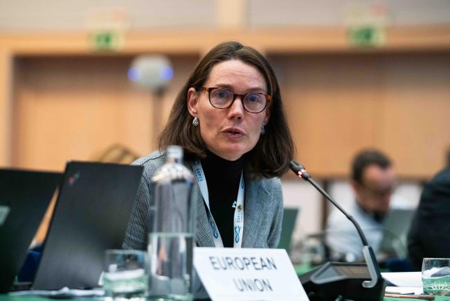 Anna Bobo Remÿn taking the floor on behalf of the EU