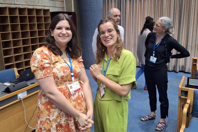 Participants during the OEWG 2 SPP