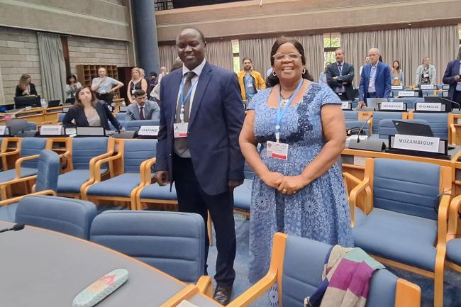 Participants during the OEWG 2 SPP