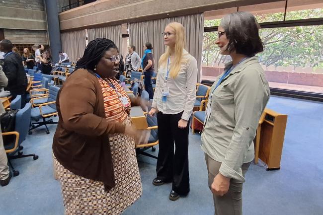 Participants during the OEWG 2 SPP
