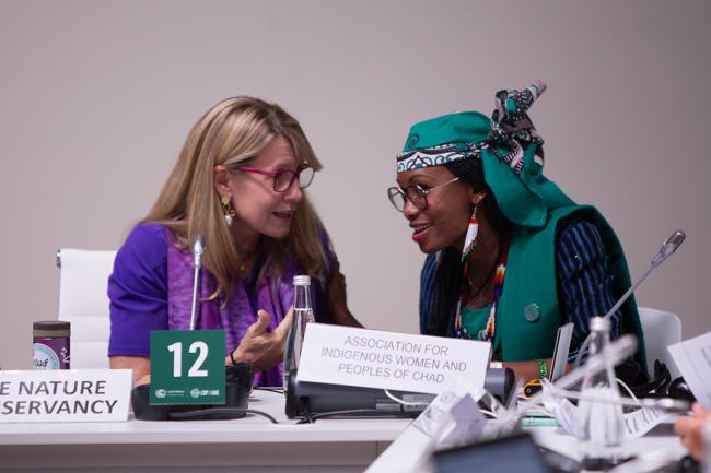 Around the Venue 1 - UNCCD - 1 Dec 2023 - Photo