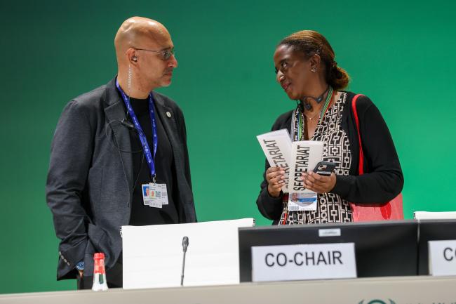 Bashar Musmar, Identity Global, and Joyce Malnaric, UNFCCC Secretariat