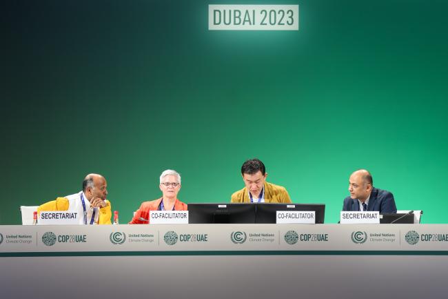 From L-R: Perumal Arumugam, UNFCCC Secretariat; Kate Hancock, Australia; Sonam Tashi, Bhutan; and Phillip Eyre, UNFCCC Secretariat