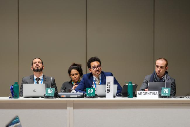 Delegates from Brazil and Argentina