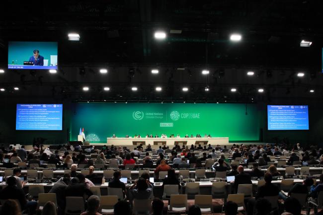Plenary view