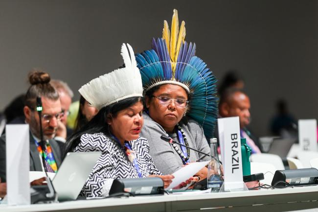 Indigenous representaives speaking on behalf of Brazil