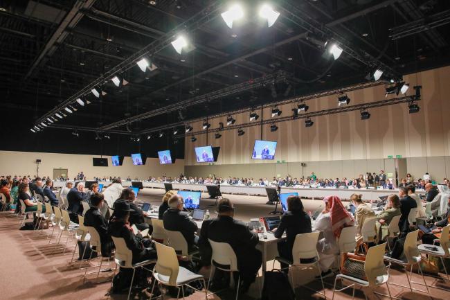 View of the room during the roundtable