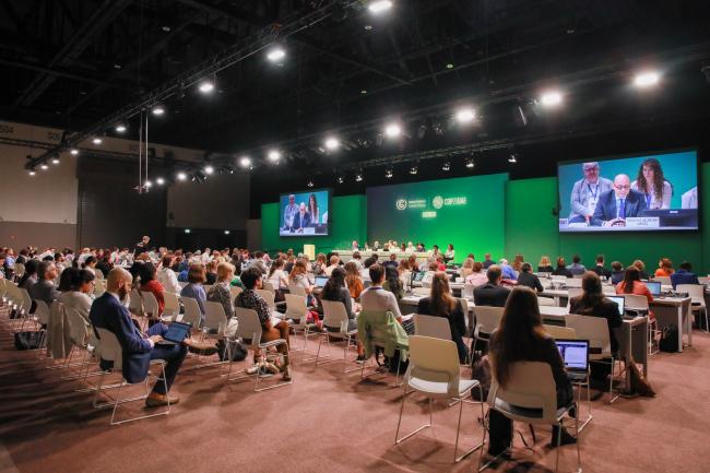 View of the room during the UNFCCC Executive Secretary's townhall with observer organizations