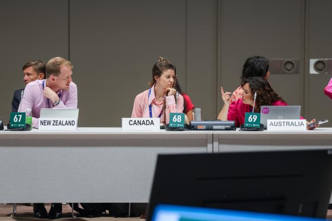 Umbrella Group delegates conferring