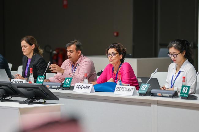From L-R: Sana Lingorsky, UNFCCC Secretariat; Ali Waqas, Pakistan; Apollonia Miola, Italy; and Noah Kim, UNFCCC Secretariat