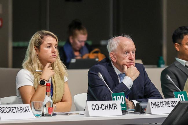 View of the dais during an workshop on non-market approaches