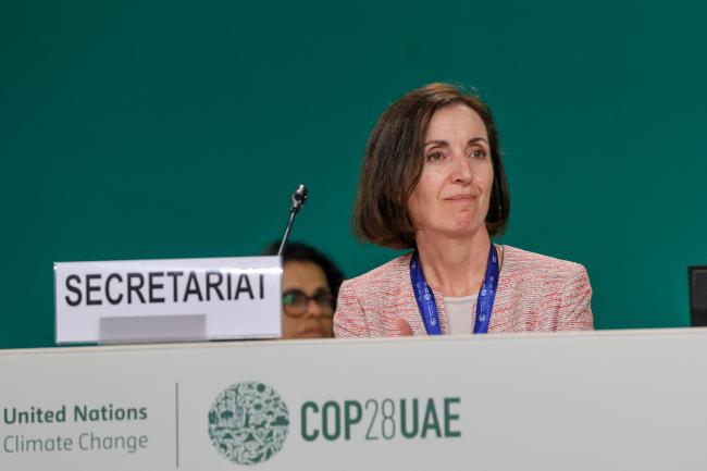 Ina Parvanova, UNFCCC Secretariat