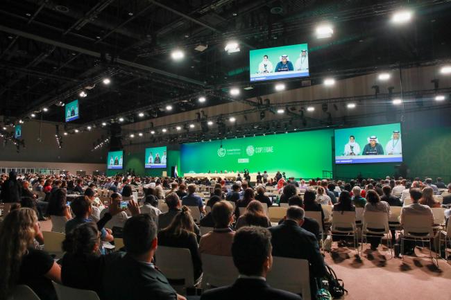 View of the room during the plenary