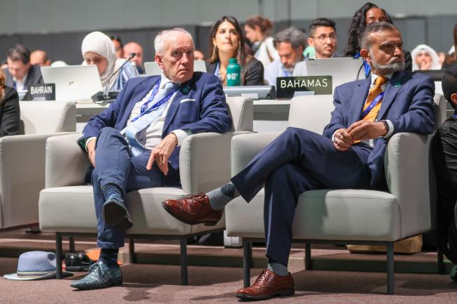Subsidiary Body for Scientific and Technological Advice (SBSTA) Chair Harry Vreuls, Netherlands, and Subsidiary Body for Implementation (SBI) Chair Nabeel Munir, Pakistan