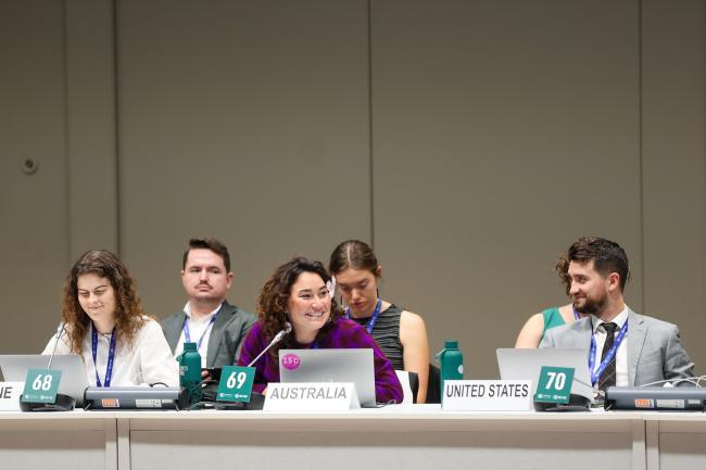 Informal Consultations