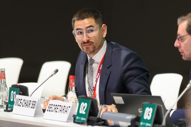 Subsidiary Body for Implementation Vice-Chair Gonzalo Guaiquil, Chile
