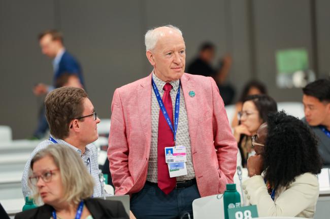 Subsidiary Body for Scientific and Technological Advice (SBSTA) Chair Harry Vreuls, Netherlands