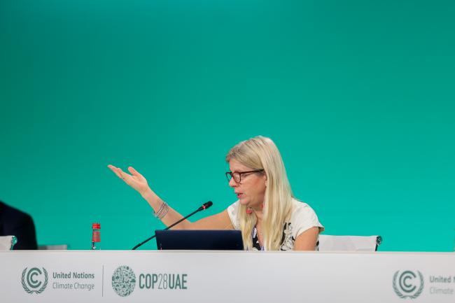 Diána Ürge-Vorsatz, IPCC Vice-Chair
