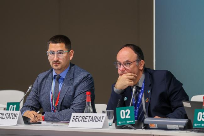 Gonzalo Guaiquil Chile, and Alejandro Kilpatrick, UNFCCC Secretariat
