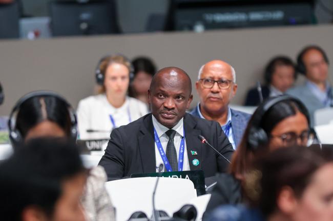 Ephraim Mwepya Shitima, Zambia