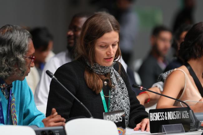 Sandra Hanni, Business and Industry NGOs