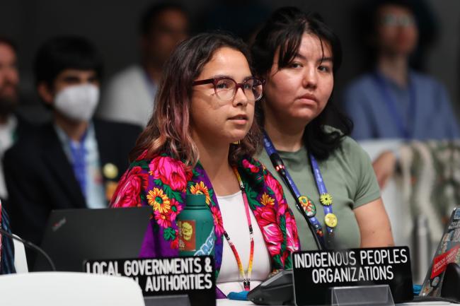 Sarah Hanson, Indigenous Peoples Organizations