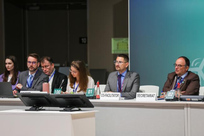 View of the dais during informal consultations