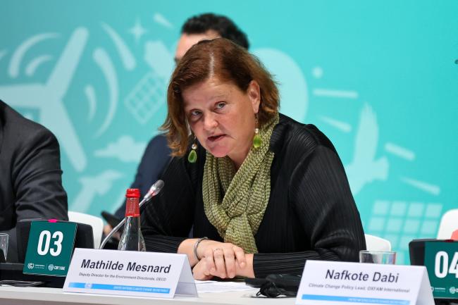Mathilde Mesnard, Deputy Director for the Environment Directorate, OECD