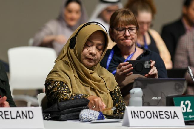 Laksmi Dhewanthi, Indonesia