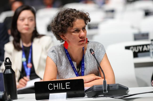 Maisa Rojas, Minister of the Environment, Chile