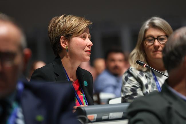 Jennifer McAllister, Assistant Minister for Climate Change and Energy, Australia