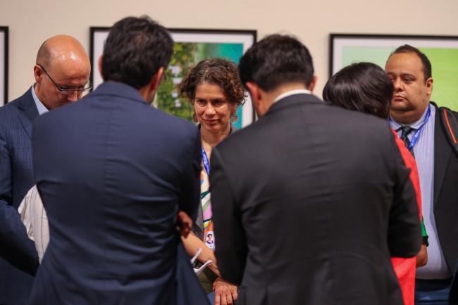 Maisa Rojas, Minister of the Environment, Chile