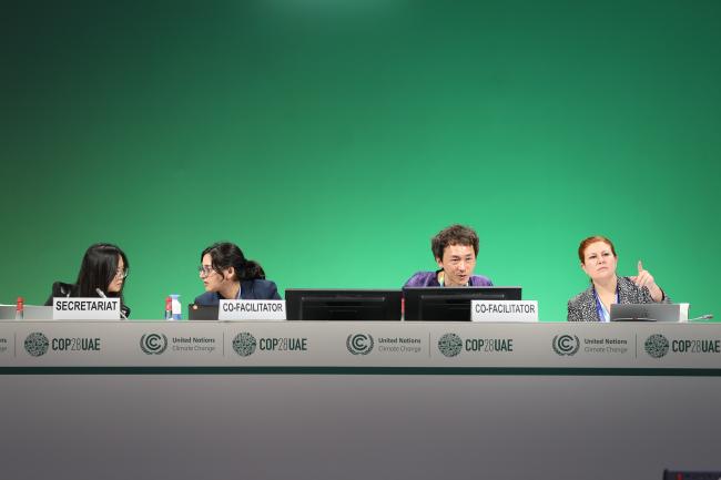 View of the dais during informal consultations on supporting developing countries' national reports
