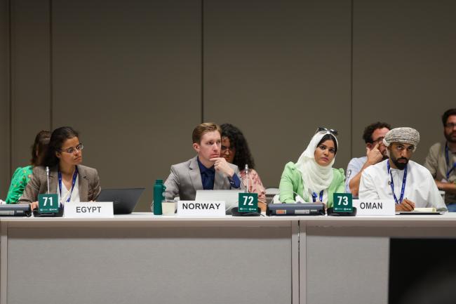 Informal Consultations