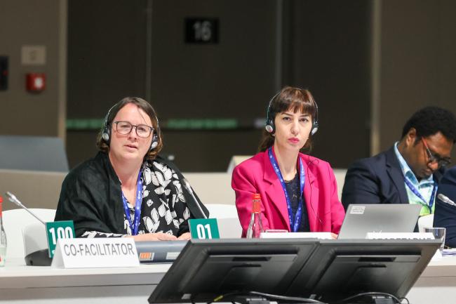 View of the dais during informal consultations on the development and transfer of technologies and implementation of the Technology Mechanism