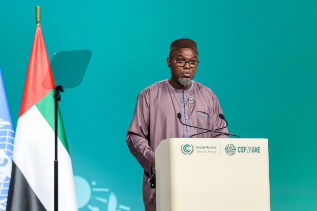 Muhammad B. S. Jallow, Vice President of The Gambia 