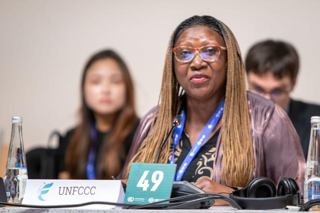 Cecilia Kinuthia-Njenga, UNFCCC