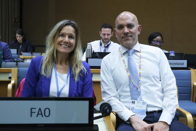 Christine Fuell, and Mario Yarto-Ramírez, Food and Agriculture Organization (FAO)
