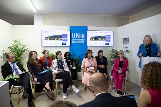 Dais Panel 1 - EMG Side Event - COP28 - 2 Dec 2023 - Photo