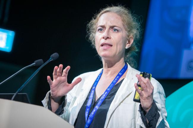 Diana Reckien, University of Twenty
