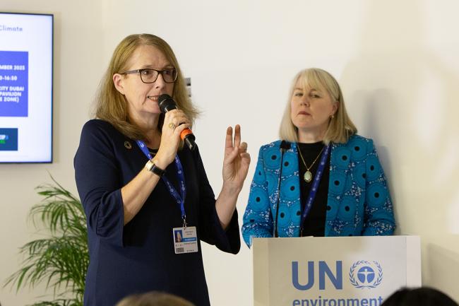 Edeltraud Guenther, United Nations University - EMG Side Event - COP28 - 2 Dec 2023 - Photo